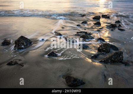 Littoral rocheux de Driftwood Beach - Jekyll Island, Géorgie, États-Unis Banque D'Images