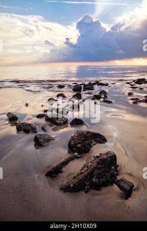 Côte rocheuse de Driftwood Beach au lever du soleil - Jekyll Island, Géorgie, États-Unis Banque D'Images