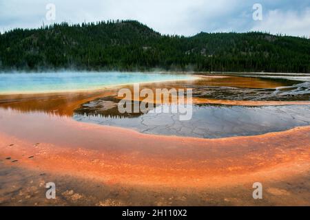 Grand Prismatic Spring, Midway Geyser Basin, avec vapeur et réflexions, parc national de Yellowstone, Wyoming Banque D'Images