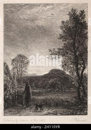 Le Skylark, 1850.Samuel Palmer (britannique, 1805-1881).Gravure ; Banque D'Images