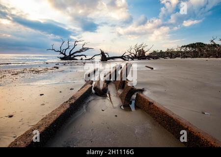 Vestiges structuraux sur la plage de Driftwood au lever du soleil - Jekyll Island, Géorgie, États-Unis Banque D'Images