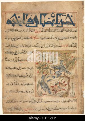 Folio d'un Manafi' al-Hayawan (les avantages des animaux) persan d'Abu Said Ubaid-Allah ibn Jibrail ibn Bakhtishu (mort 1058-68) (recto), c.1300. Iran, Maragah, période Ilkhanid (1256-1353).Aquarelle, encre et or opaques sur papier; image : 10.2 x 9 cm (4 x 3 9/16 po.); hors tout : 24.7 x 18.2 cm (9 3/4 x 7 3/16 po.); zone de texte : 22.2 x 16.5 cm (8 3/4 x 6 1/2 po.). Banque D'Images