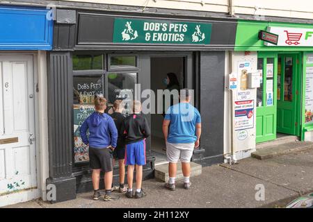 Cork, Irlande, 15 octobre 2021.DOB animaux et Exotics Grand Opening, Cork, Irlande.La nouvelle boutique d'animaux de compagnie de Corks a ouvert ses portes aujourd'hui dans le nord de la ville et les affaires étaient en plein essor dès l'ouverture de leurs portes.La boutique d'animaux de compagnie appartenant à Aaron Dunlea O Brien de passage West vend une grande variété d'animaux, y compris les petits animaux, les oiseaux, les poissons et les reptiles, ainsi que tous les aliments et les fournitures dont vous avez besoin.Aaron a dit qu'il l'était.Aaron qui a maintenant 21 ans a grandi entouré d'animaux de compagnie et a toujours rêvé d'ouvrir une boutique d'animaux de son propre, aujourd'hui ce rêve est venu.Crédit: Damian Colema Banque D'Images