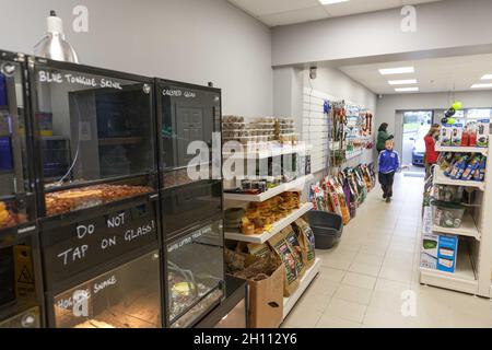 Cork, Irlande, 15 octobre 2021.DOB animaux et Exotics Grand Opening, Cork, Irlande.La nouvelle boutique d'animaux de compagnie de Corks a ouvert ses portes aujourd'hui dans le nord de la ville et les affaires étaient en plein essor dès l'ouverture de leurs portes.La boutique d'animaux de compagnie appartenant à Aaron Dunlea O Brien de passage West vend une grande variété d'animaux, y compris les petits animaux, les oiseaux, les poissons et les reptiles, ainsi que tous les aliments et les fournitures dont vous avez besoin.Aaron a dit qu'il l'était.Aaron qui a maintenant 21 ans a grandi entouré d'animaux de compagnie et a toujours rêvé d'ouvrir une boutique d'animaux de son propre, aujourd'hui ce rêve est venu.Crédit: Damian Colema Banque D'Images