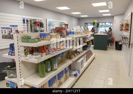 Cork, Irlande, 15 octobre 2021.DOB animaux et Exotics Grand Opening, Cork, Irlande.La nouvelle boutique d'animaux de compagnie de Corks a ouvert ses portes aujourd'hui dans le nord de la ville et les affaires étaient en plein essor dès l'ouverture de leurs portes.La boutique d'animaux de compagnie appartenant à Aaron Dunlea O Brien de passage West vend une grande variété d'animaux, y compris les petits animaux, les oiseaux, les poissons et les reptiles, ainsi que tous les aliments et les fournitures dont vous avez besoin.Aaron a dit qu'il l'était.Aaron qui a maintenant 21 ans a grandi entouré d'animaux de compagnie et a toujours rêvé d'ouvrir une boutique d'animaux de son propre, aujourd'hui ce rêve est venu.Crédit: Damian Colema Banque D'Images