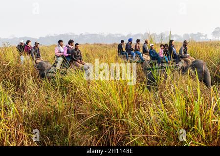 KAZIRANGA, INDE - 30 JANVIER 2017 : touristes pendant le safari à dos d'éléphant dans le parc national de Kaziranga, Inde Banque D'Images