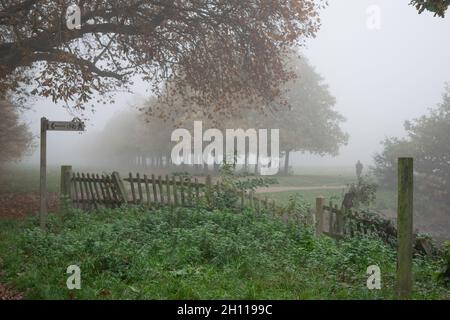Clôture en bois et feuillage du parc Wanstead couverts de brume à l'automne à Londres Banque D'Images