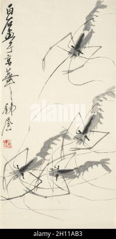 Crevettes, première moitié des années 1900.Qi Baishi (chinois, 1864-1957).Rouleau suspendu, encre sur papier; peinture: 67.6 x 34.7 cm (26 5/8 x 13 11/16 po.); hors tout: 209.5 x 55.5 cm (82 1/2 x 21 7/8 po.). Banque D'Images