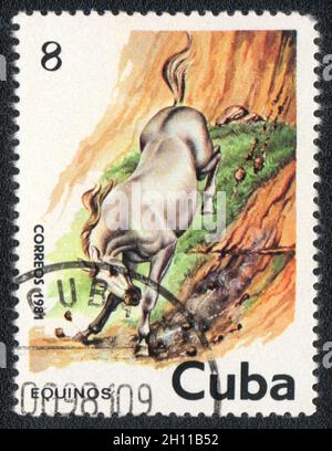 Le timbre-poste imprimé à Cuba montre un mustang gris, vers 1981 Banque D'Images
