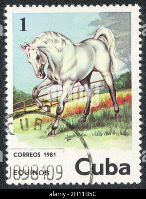 Le timbre-poste imprimé à Cuba montre un cheval blanc, vers 1981 Banque D'Images