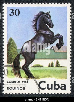 Le timbre-poste imprimé à Cuba montre un cheval noir, vers 1981 Banque D'Images