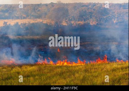 Vue aérienne d'un feu de brousse dans le delta d'Okavango.Delta d'Okavango, Botswana. Banque D'Images
