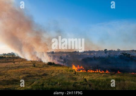 Vue aérienne d'un feu de brousse dans le delta d'Okavango.Delta d'Okavango, Botswana. Banque D'Images