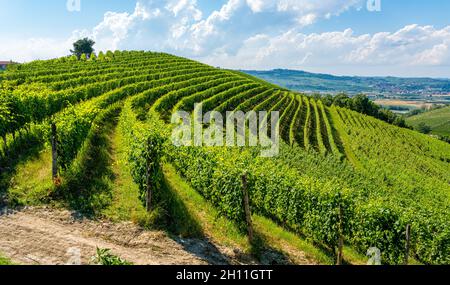 Belles collines et vignobles entourant le village de Barbaresco dans la région de Langhe.Cuneo, Piémont, Italie. Banque D'Images