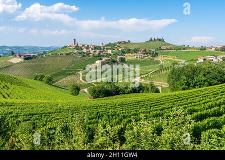 Belles collines et vignobles entourant le village de Barbaresco dans la région de Langhe.Cuneo, Piémont, Italie. Banque D'Images