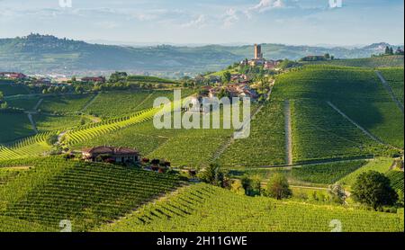 Belles collines et vignobles entourant le village de Barbaresco dans la région de Langhe.Cuneo, Piémont, Italie. Banque D'Images