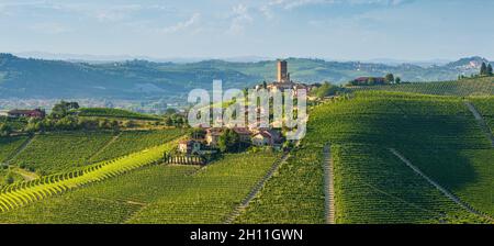 Belles collines et vignobles entourant le village de Barbaresco dans la région de Langhe.Cuneo, Piémont, Italie. Banque D'Images