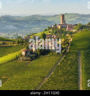 Belles collines et vignobles entourant le village de Barbaresco dans la région de Langhe.Cuneo, Piémont, Italie. Banque D'Images