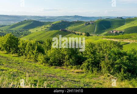 Belles collines et vignobles entourant le village de Barbaresco dans la région de Langhe.Cuneo, Piémont, Italie. Banque D'Images