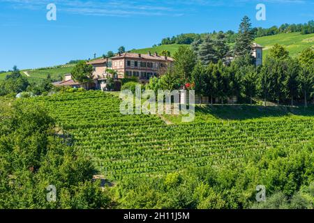 Vue panoramique des vignobles près de Barolo dans la région de Langhe du Piémont, Italie. Banque D'Images