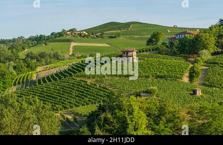 Vue panoramique des vignobles près de Barolo dans la région de Langhe du Piémont, Italie. Banque D'Images