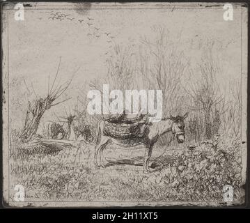 A Donkey in the Field, impression originale 1862, imprimée en 1921.Charles François Daubigny (français, 1817-1878).Cliché-vert; feuille: 17.4 x 20.9 cm (6 7/8 x 8 1/4 po.); repère plateau: 16.8 x 20 cm (6 5/8 x 7 7/8 po.). Banque D'Images