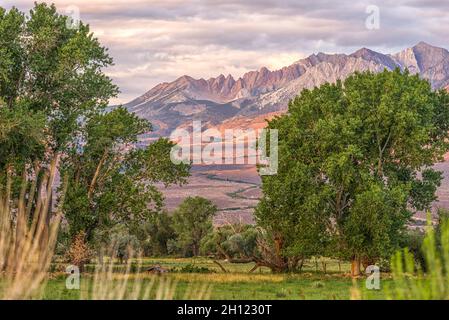 Une belle lumière du matin illumine le paysage de montagne.Ce quartier est à environ 10 minutes de Bishop, CA, USA. Banque D'Images