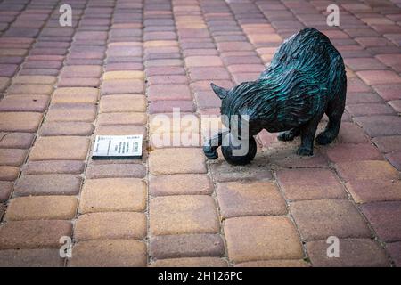 Trzebnica, Pologne - 29 août 2021: Une sculpture en bronze d'un chat 'Zdrojek ", jouant avec une balle sur la chaussée devant une salle de sport. Banque D'Images