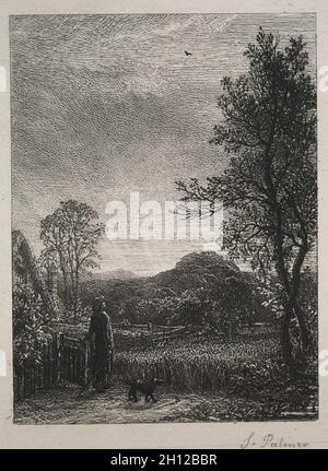 Le Skylark, 1850.Samuel Palmer (britannique, 1805-1881).Gravure ; Banque D'Images