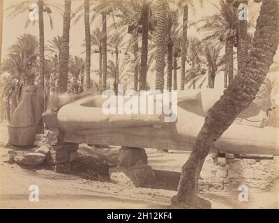 Statue de Ramsès à Saqqara, ch. Années 1870 - 1880. Antonio Beato (britannique), ch. 1825-1903). L'albumine à partir de négatifs au collodion humide ; image : 20,3 x 26,2 x 10 cm (8 5/16 in.) ; enchevêtrées : 40,6 x 50,8 cm (16 x 20 in.). Banque D'Images