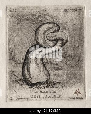Le Cryptogam malade, 1860.Charles Meryon (français, 1821-1868).Gravure ; Banque D'Images