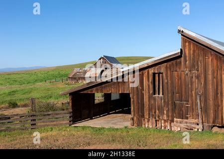 WA19656-00...WASHINGTON - anciennes granges et cabanes dans le ranch historique de Dalles Mountain Ranch, qui fait maintenant partie du parc national de Columbia Hills. Banque D'Images