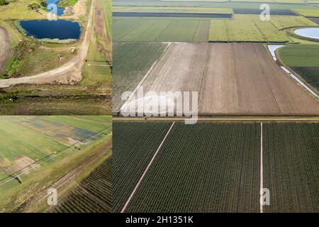 Collage de paysage aérien d'un lagon et d'une pelouse et de champs de canne à sucre Banque D'Images