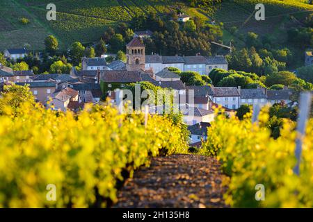 Village of Beaujolais and vineyards in France Stock Photo