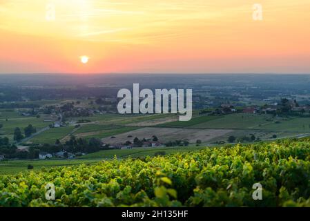 Le lever du soleil surprend les vignobles du Beaujolais Banque D'Images