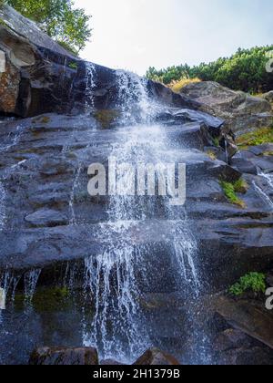 Cascade sous le sommet de Hoverla Banque D'Images