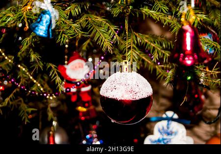 Nouvel an ou Noël en direct décoré avec élégance épinette gros plan - grand-père givre et rouge-blanc boule de verre sur le fond des branches vertes Banque D'Images