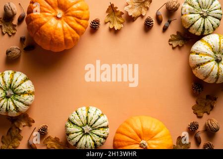 Cadre de citrouilles mûres, feuilles de chêne sec, glands, cônes de pin sur fond orange.Maquette de bannière du jour de Thanksgiving. Banque D'Images