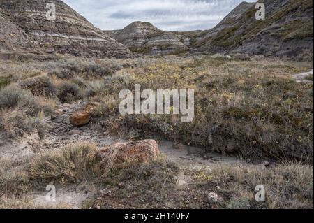 Horse Thief Canyon, dans la vallée de la rivière Red Deer, près de Drumheller, Alberta, Canada Banque D'Images