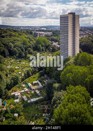 Vue sur Jesmond Vale, Jesmond, Newcastle upon Tyne, Royaume-Uni Banque D'Images