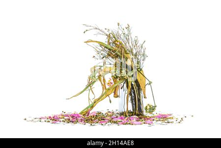 Bouquet de fleurs sauvages dans un vase en verre clair, Vintage filtré Banque D'Images