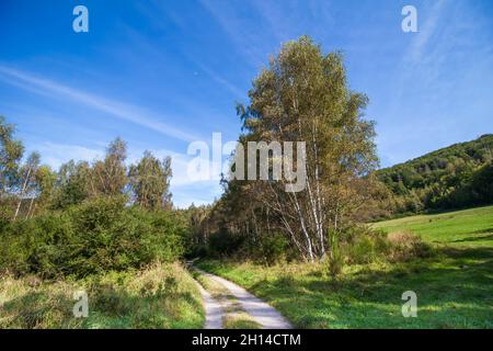 Promenade dans le parc national d'Eifel à Schleiden, en Allemagne Banque D'Images