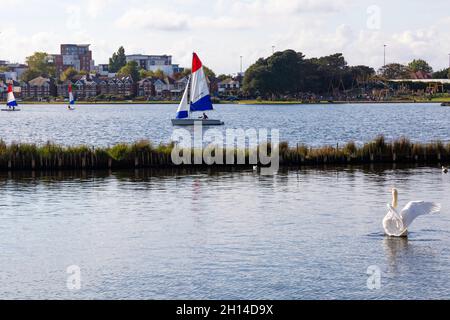 Poole, Dorset, Royaume-Uni.16 octobre 2021.Météo au Royaume-Uni : belle journée chaude et ensoleillée à Poole avec des températures dans les années de forte adolescence que les visiteurs se rendent à Poole Park pour profiter des activités, de l'exercice et du soleil automnal.Crédit : Carolyn Jenkins/Alay Live News Banque D'Images