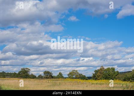 Les nuages flottent sur des collines verdoyantes dans la campagne de Pennsylvanie, USA.duvey Banque D'Images