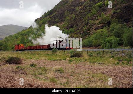 'Fiji' au sud de Bryn y Felin. Banque D'Images