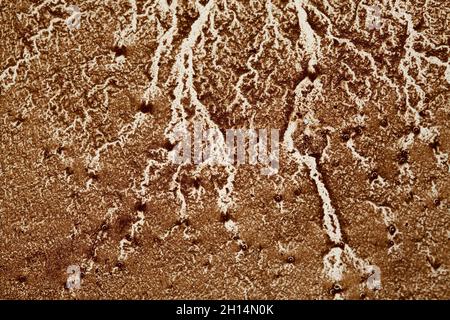 la divination des grains de café, les motifs révélés sur une surface blanche après avoir égoutté le café Banque D'Images