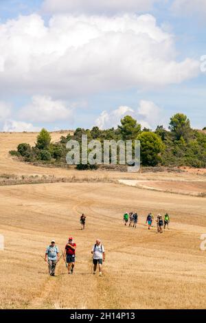 Groupe de pèlerins marchant dans la campagne espagnole entre Estella et Los Arcos sur la Camino de Santiago, chemin du pèlerinage de St James Banque D'Images