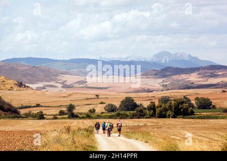 Groupe de pèlerins marchant dans la campagne espagnole entre Estella et Los Arcos sur la Camino de Santiago, chemin du pèlerinage de St James Banque D'Images