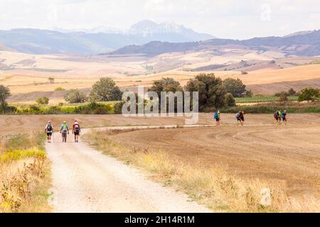 Groupe de pèlerins marchant dans la campagne espagnole entre Estella et Los Arcos sur la Camino de Santiago, chemin du pèlerinage de St James Banque D'Images