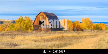 panorama d'une ancienne grange en automne à jens, montana Banque D'Images